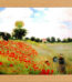 Monet The Poppies