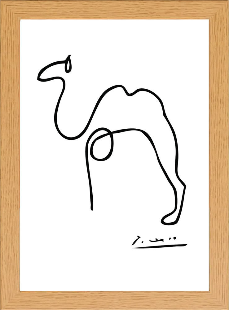 Picasso Line Drwing Camel