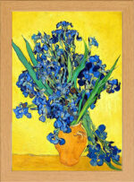 Van Gogh IRISES Iris art Print in Real Glass Fronted 10" x 13.5" Frame